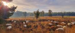 De Landschapsverteller Bestemming Buitenlucht & Peelverhalen op locatie 