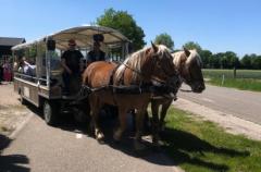 Nostalgische ontdekkingstocht in het tempo van toen. 
Koetsier Sef van 't Vöske kent alle mooie routes:
't Vöske Huifkartochten en De Landschapsvert