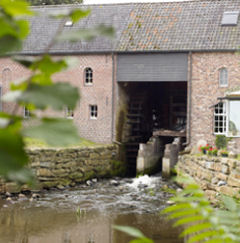 Sinds 1995 draait de watermolen weer op volle toeren en worden er rondleidingen gegeven in en rond de werkende watermolen.