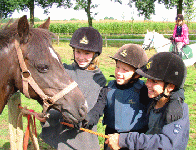 Overnachtingsmogelijkheden voor groepen met paarden