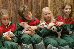 Den Elshorst Boerderij bezoek/ biggetjes knuffelen