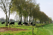 Een ideale locatie om de kinderen op een ontspannen wijze kennis bij te brengen over voedsel en natuur.