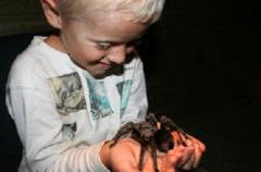 Dierenpark De Oliemeulen Kinderfeestjes