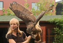 Dierenpark Reptielenhuis De Oliemeulen opende in 1987 haar deuren voor het publiek.