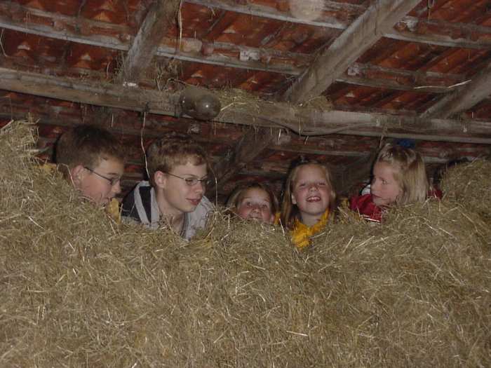 Doe Boerderij de Steenuil Kinderfeest