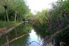 Dwaaltuin \'t Oerse Zand Arrangement Dwaal en Beleef