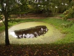 Erfgoedcentrum Nederlands Kloosterleven  De Kloostertuin