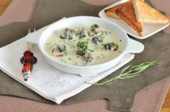 Escargotskwekerij Slaque Proeverij escargots
