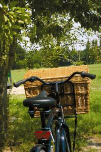 Bij ons bent u aan het juiste adres voor het huren van fietsen, tandems en steppen