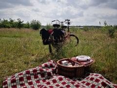 Fietsen door een prachtig stukje natuur door en onderweg genieten van een heerlijke uitgebreide picknick.