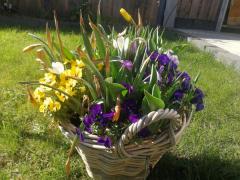 Wij bieden workshops aan, waar ondergrond, groen en bloemen inbegrepen zijn. Deze houden we op wisselende locaties, met wisselende thema's.