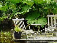 Een tuin van 2500 m², gelegen in het natuurgebied ’Het Groene Woud’.