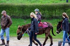 Heierhof Ezelwandeling in de Brabantse Kempen