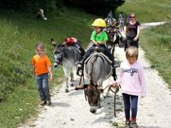 Heierhof Kinderfeestje op de Ezelboerderij