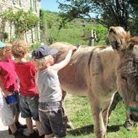 Heierhof Kinderfeestje op de Ezelboerderij