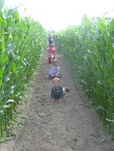 Het Fazantje Kinderfeestjes