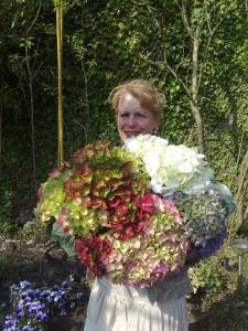 Het hortensia vrouwtje  Excursie bij het Hortensiavrouwtje