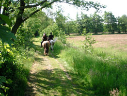 Hippodroom Paardrijden in de natuur