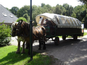 Voor de midweek hebben we een prachtig meerdaags arrangement samengesteld.
