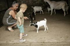 Hollandershoeve Kinderboerderij