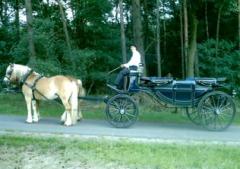 Huifkar en koetsverhuur Strabrechtse Heide Huifkar- en koetsverhuur