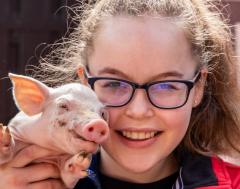 IJsboerderij Op De Nieuwe Kampen De varkensexcursie