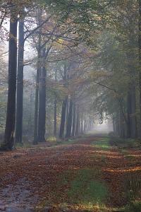 IVN Etten-Leur e.o. Natuurgebied Liesbos