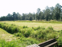 IVN Etten-Leur e.o. Natuurgebied Vloeiweide
