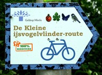 IVN Geldrop Fietstocht kleine ijsvogelvlinder