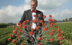 Jan Robben aardbeien