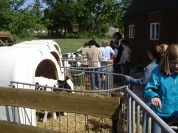 Kaasboerderij De Leyedaeler Excursie