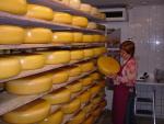 Kaasboerderij De Leyedaeler Verkoop verse kaas en streekproducten