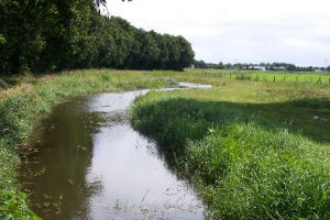 Kaasboerderij De Ruurhoeve Boerenterras