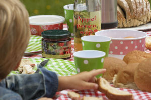 Kaasboerderij De Ruurhoeve Picknicken in de wei