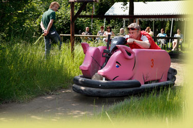 Daar waar nu de knorren krossen, wroette vroeger de varkens van de Kanoboerderij.