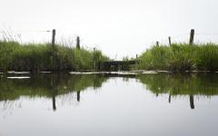 Onder leiding van een professionele fotograaf naar buiten om landschap en dieren te fotograferen