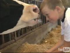 Een educatiebezoek voor schoolklassen op een boerderij is een aanvulling op het reguliere onderwijs door praktijkervaringen.