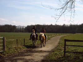 Landgoed de Barendonk Paarden Pleisterplaats