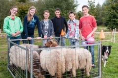 Landgoed de Biestheuvel Workshop schapen drijven