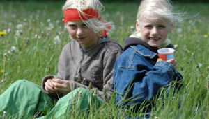 Landgoed De Hoevens Natuurkampeerterrein