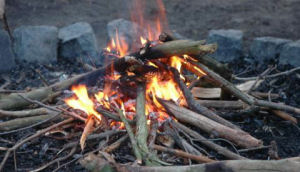 Landgoed De Hoevens Natuurkampeerterrein