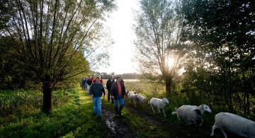Landgoed De Hoevens Op pad met de herder