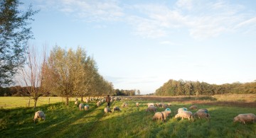 Landgoed De Hoevens Op pad met de herder