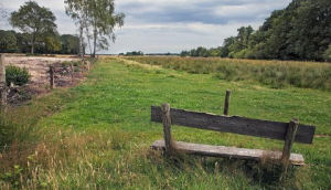 Landgoed De Hoevens Vakantiehuizen