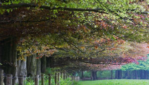 Landgoed De Hoevens Vergaderfaciliteiten