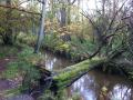 Landhoeve Buitenman Culinair landgoedwandelweekend