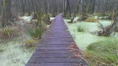 Landschap Horst aan de Maas Petranpad meerdaagse wandeltocht