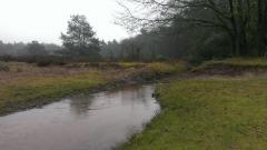 Landschap Horst aan de Maas Petranpad meerdaagse wandeltocht