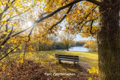 Landschap Horst aan de Maas Fietsroutes in Horst aan de Maas