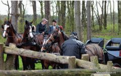 Naast mencursussen, menlessen, span verbetering en paarden betuigen hebben wij een aantal arrangementen voor u in relatie tot het zelf mennen.